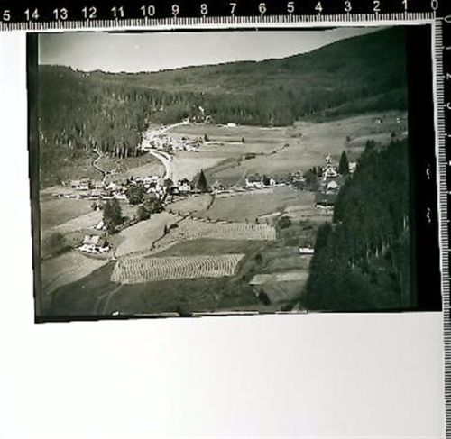 Herrenwies