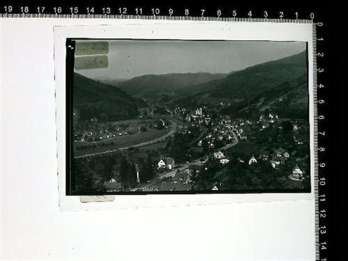 Lautenbach Kleber auf Schutzfolie