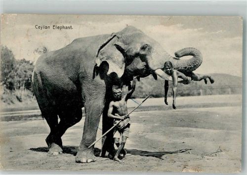 Colombo 1928 Elefant