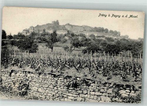 Pagny-sur-Meuse 1915 Preny Feldpost WK I Nr. 96