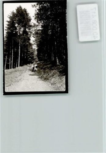 Partenstein Müselberg