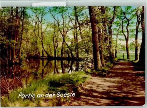 Friesoythe Partie an der Soeste