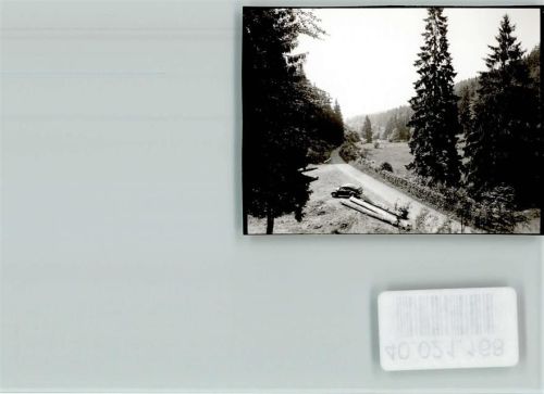 Steina VW-Käfer