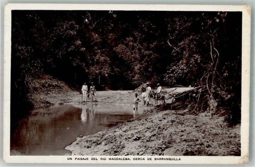 Bogota Esel Rio Magdalena