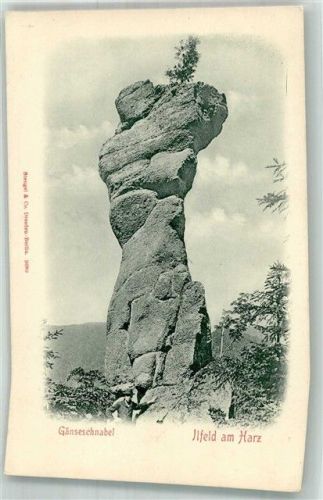 Ilfeld Gänseschnabel Felsen Harz