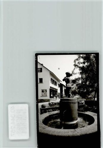 Loffenau Trinke Brunnen