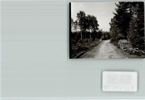 26169 W2908 Thülsfelde FOTO KEINE AK Wanderweg