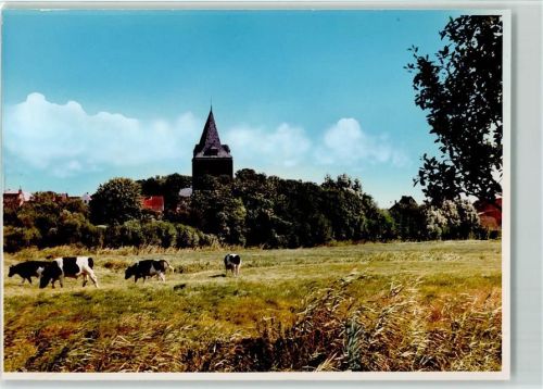 Garding Kühe