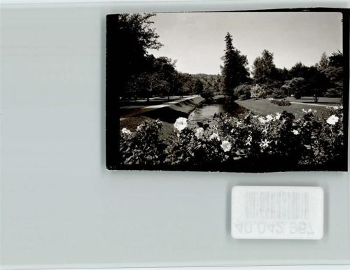 Oberharmersbach Park