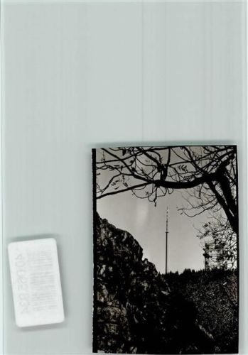 Dannenfels Donnersberg Sendemast