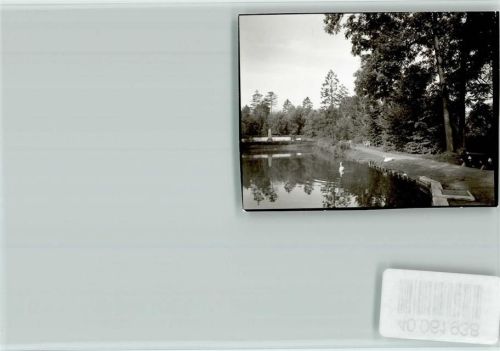 Moringen See mit Schwänen