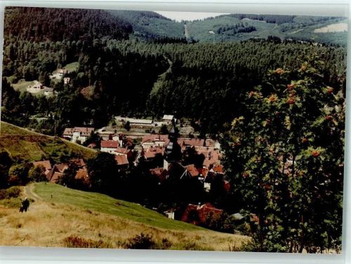 Lautenthal Ortsansicht
