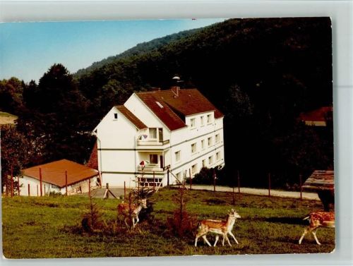 Hohenhausen Kurhaus Kalletal-Mühle mit Tierpark Rehe