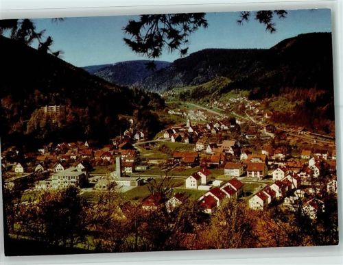 Calmbach Blick auf Calmbach