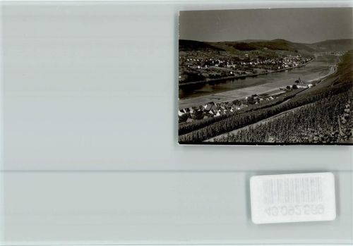 Wehlen, Mosel Gesamtansicht