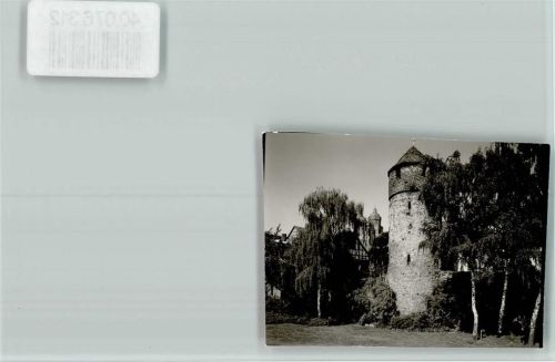 Homberg Trauerweide