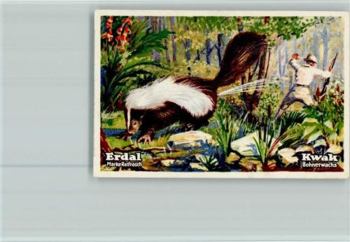 Stinktier Erdal-Kwak Sammelbild Serie40 AKU2