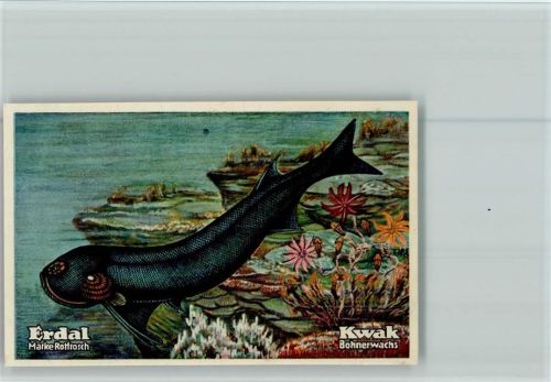 Erdal-Kwak Sammelbild Stachelfisch AKU2