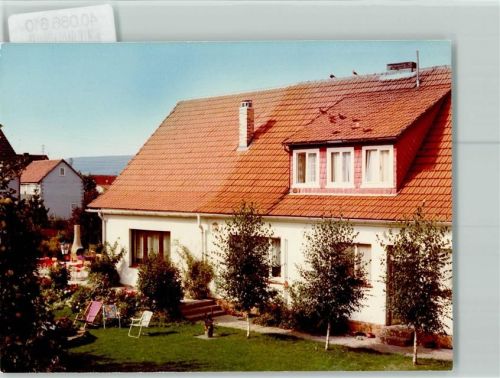Michelbach Junge Birken im Garten