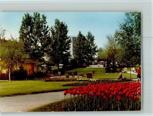 Viernheim Tulpenfeld