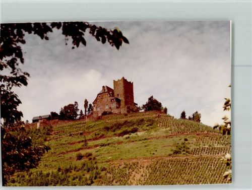Alf Burg Arres