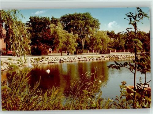 Großenbrode am See Schwan