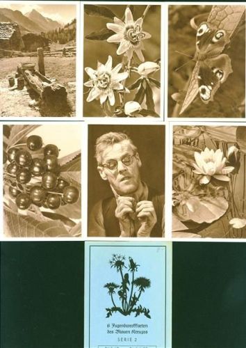 Jugendwerkkarten d. Blauen Kreuzes Lot mit 6 AK + Einband, vor 1970, beste Erhaltung, nicht gelaufen