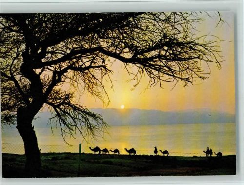 Abendstimmung am Toten Meer
