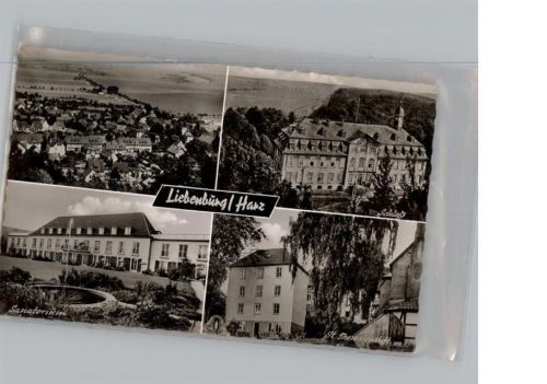 Liebenburg
