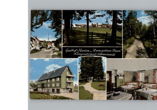 Langenbrand Gasthof, Pension Zum grünen Baum