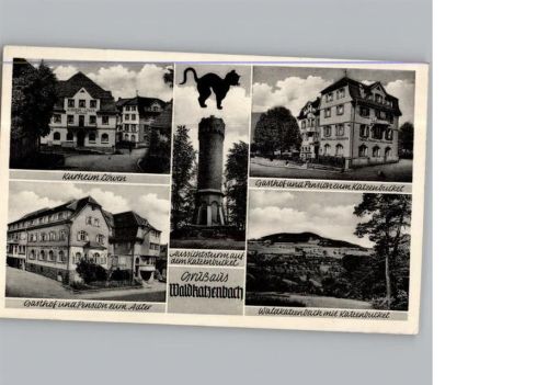 Waldkatzenbach Gasthof Pension zum Katzenbuckel Gasthof Pension zum Adler