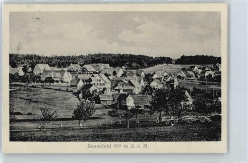 Besenfeld