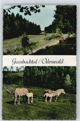 Grasellenbach