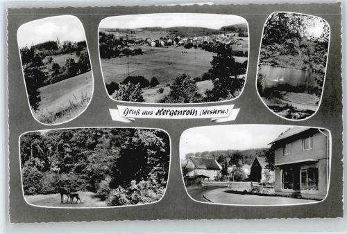 56457 W5438 Hergenroth - Elmar Steup Gemischtwaren