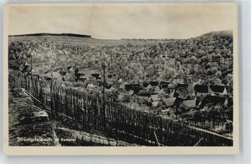 Strümpfelbach