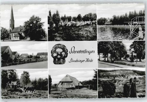 Schneverdingen Schwimmbad Kutsche