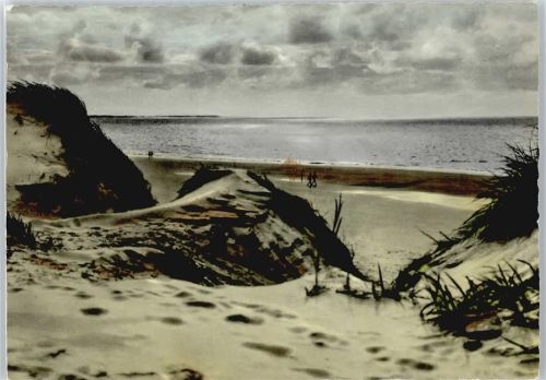 Borkum Dünen