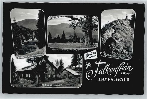 Falkenstein Baum Berg Haus
