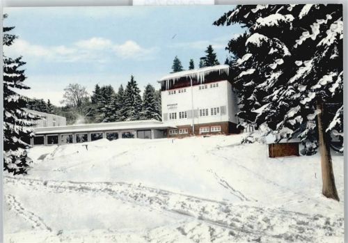 Arnoldshain Haus Baum Schnee