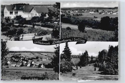 Silberborn Baum Feld Haus Flagge