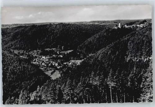 Bad Teinach Berg Wald Haus Panorama