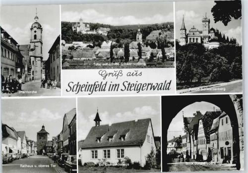 Scheinfeld