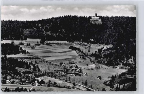Fohrenbühl Feld Haus Baum