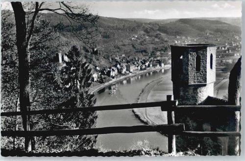 Neckarsteinach Schwalbennest