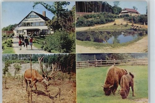 Vahrendorf Cafe Restaurant Hochwild Hirsch Fußgänger Teich