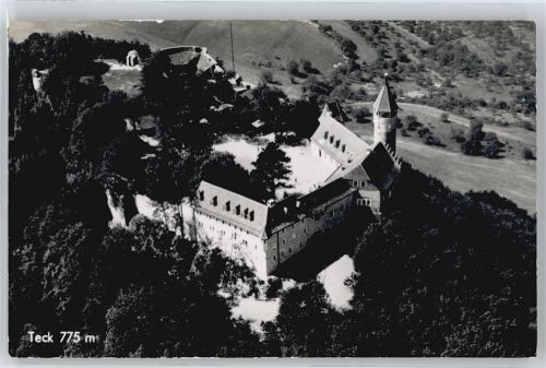 Teck Fliegeraufnahme Burg Baum Feld