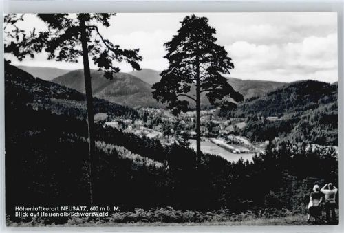Neusatz Panorama Berg Feld Baum