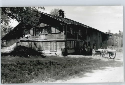 Lustenau Foto Haus Baum Wiese