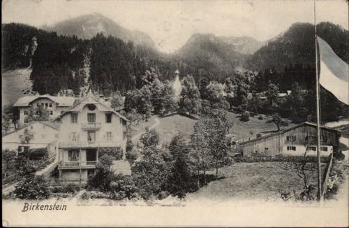 Birkenstein