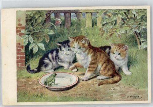 Frosch , Katzen Kraenzle, J.